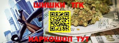 мдпв Славгород