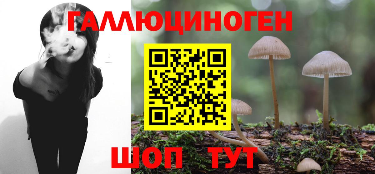 Нижний Тагил  Псилоцибиновые грибы Cubensis  Вход с VPN  Галлюциногенные грибы Psilocybe 